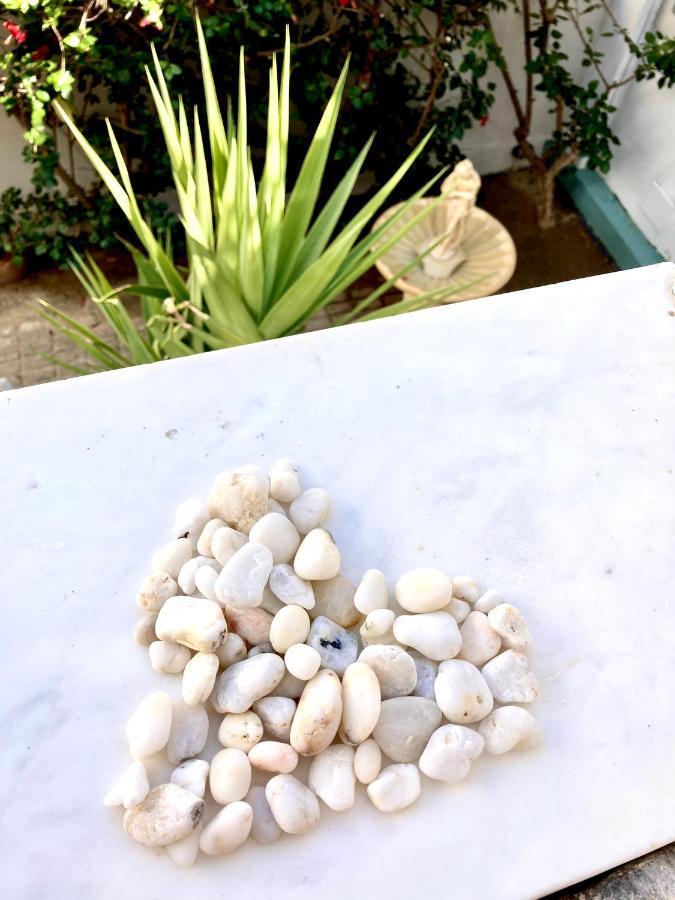 Tree Of Life Art Hotel Aγία Μαρίνα Εξωτερικό φωτογραφία