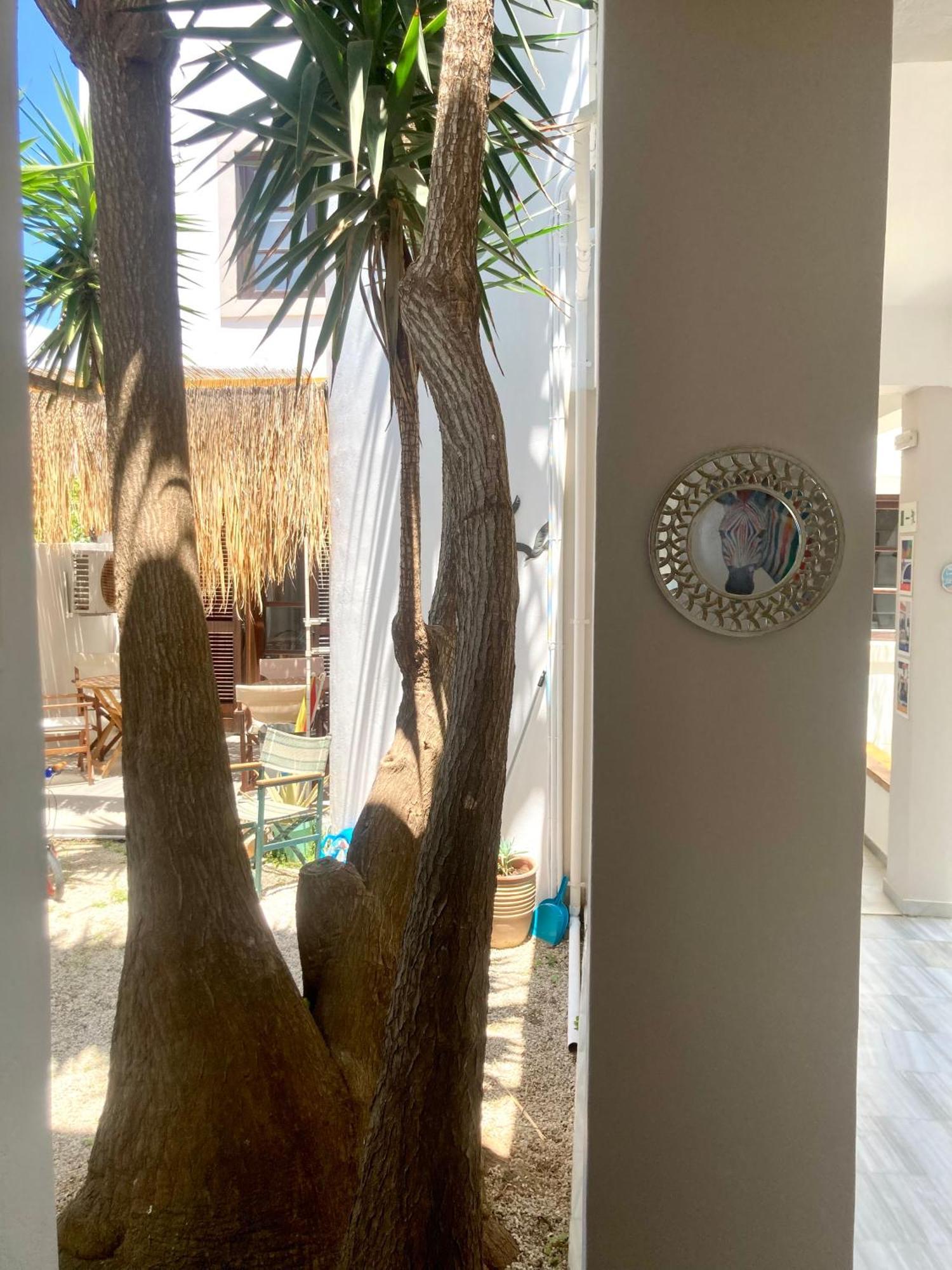 Tree Of Life Art Hotel Aγία Μαρίνα Εξωτερικό φωτογραφία